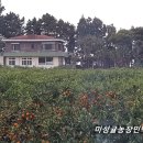 미성민박 이미지