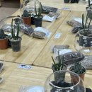 양정유치원 이미지