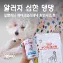 로얄동물병원 | 강아지 알러지 동물병원 처방사료, 2달 급여 후기 (로얄캐닌 하이포알러제닉 사료, 캔) 급여방법 보관방법