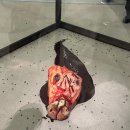 히야벌룬 | 국립현대미술관서울 데이미언 허스트 개인전 후기(무료 할인 예약방법)