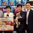 인터펫코리아 이미지