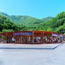 (주)충남지하수 | [여름 여행지 추천] 에어컨보다 시원한 천연 바람! 이색 피서지 '냉풍욕장' 완벽 정복기 (입장료/주차장...