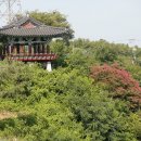 비비정 이미지