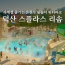 휴펜션&모텔 | 덕산 스플라스리솜 키즈 워터파크 할인 방법 준비물 꿀팁 총정리