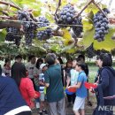 이준구농장 이미지