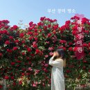 화명도서관 화장실 이미지