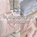 사계절수선실 | 무냐무냐 낮잠이불 신상 달라진 점은? 모달 소재·두께·크기 후기