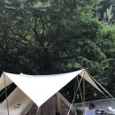 (주)네이쳐웍스 이미지