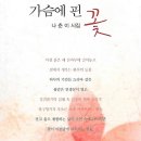 나춘이 시집(초판본) - 가슴에 핀 꽃