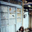 황새울길 이미지