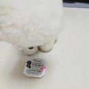 [듀먼] 케어화식 케어플러스 명태&amp;피쉬콜라겐 체험단