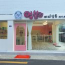 멍블리퍼피살롱 이미지