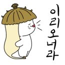강*구 - 안양시 동안구 경수대로884번길 | 강*구