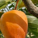 감은골 농장 이미지