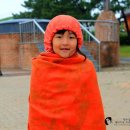 포항바다화석박물관 이미지