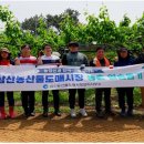 삼산농산물도매시장 이미지