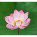 이튼플레이 이미지