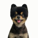 메모리멍 이미지