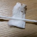 파란동물병원 이미지