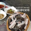 하얀등대이모야