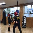 옥동정심종합무술 | 옥동 킥복싱 옥동정심종합무술!