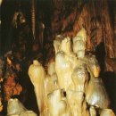 성류식당 | 잘 알려지지 않았지만 겨울에 강추 여행, 자연과 설경 힐링, 불영계곡(경북 울진) – 설경 트레킹