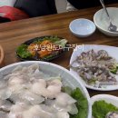 호남완도마구잡이