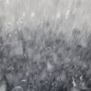 꽃마을주유소 이미지