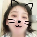 동의한방병원 | 분당서울대병원 신장조직검사 2박3일 입원 후기