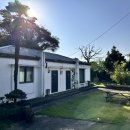 한림속 하루 이미지