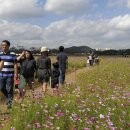 갯골안3 이미지