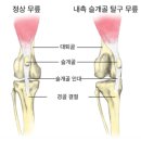 일광해빛동물병원 이미지
