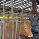 선도소망축산 이미지