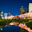 꿈을찾는 새봄둥지 남문동마을 이미지