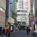 오아시스캐럿 이미지