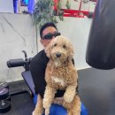 용인대 SM복싱클럽 구로디지털단지역점 이미지