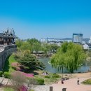 수원-0090 Daum카페