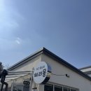 체리몽애견풀빌라 | [가평애견풀빌라]체리몽방문 후기 내돈내산 !