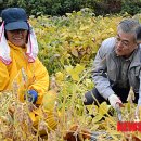 평곡4리 이미지