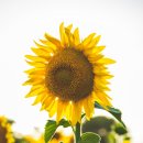 예솔빌딩 이미지