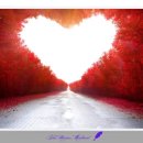 코스모스메디칼 이미지