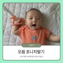 포니 - 중구 큰장로26길 65 | 아기 치발기 추천템 모윰손목치발기로 구강기 이앓이 시기 대비하기 포니치발기 후기