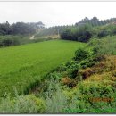 동산리마을회관 이미지