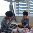 로얄게임랜드 이미지