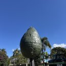 영돌농장 이미지