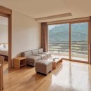 소노캄 델피노 A . B 이미지