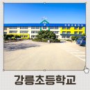 강릉초등학교 이미지