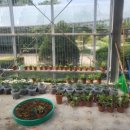 원반농장 이미지