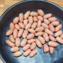 피반령송어나라 | 피반령송어나라 남일직영점