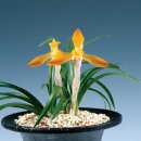 (주)일광 이미지